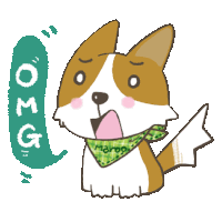 a brown and white dog wearing a green scarf with the name marco written on it