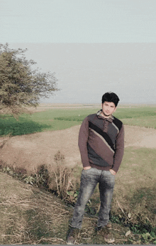 a young man in a brown and black sweater stands in a field with his hands in his pockets