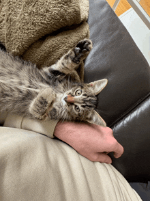 a cat laying on someone 's lap with its paws on their arm