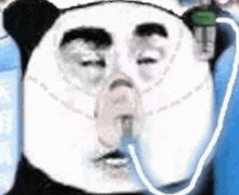 a panda bear is wearing an oxygen mask on his nose .