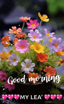 a bunch of colorful flowers in a pot with the words good morning my lea '