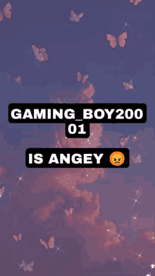 a purple background with butterflies and the words gaming boy 200 01 is angey