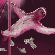 a sloth is hanging upside down on a pole with money flying around it .