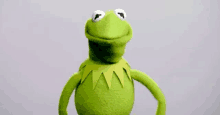 kermit the frog from muppets is standing with his hands on his hips and smiling .