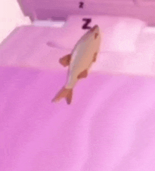 a fish is floating on top of a bed with a pillow that says n.