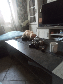 a cat is laying on a coffee table in front of a flat screen tv