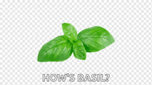 basil leaves on a transparent background with the words how 's basil