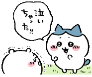 a white cat with a blue bow on its head is talking to another cat .