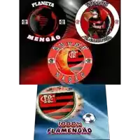 three logos for a soccer team with the words somos flamengo