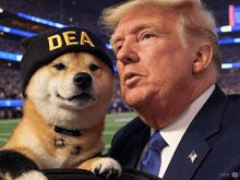 a dog wearing a hat that says dea stands next to donald trump