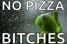 a kermit the frog looking out a window with the words no pizza bitches