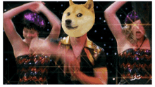 a man with a doge mask on his head is surrounded by two women