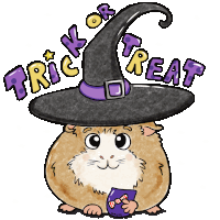 a drawing of a hamster wearing a witch hat with the words trick or treat written on it