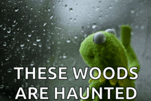 a kermit the frog looking out a window with the words these woods are haunted