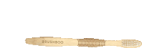 a bamboo toothbrush with the word brushboo on it