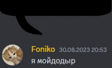 a screenshot of a chat with a cat and the date 30.08.2023