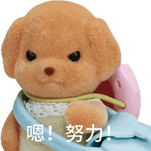 a teddy bear with chinese characters on it