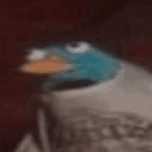 a close up of a bird with a blue beak and orange beak .