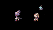 blaze the cat and cream the rabbit are standing next to each other on a black background in a pixel art style .