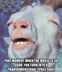 a goat is making a funny face and says that moment when the music is so good you turn into a transdimensional space goat