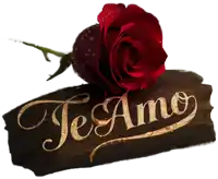 a red rose sits on a wooden sign that says " te amo "