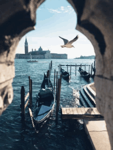 a seagull is flying over a body of water with boats docked at a dock