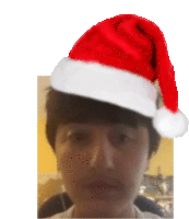 a man wearing a santa hat is looking at the camera