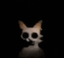 a close up of a cat with a skull on its head in the dark .