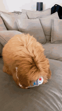 a brown dog laying on a couch with a sticker on its head that says " i love you "