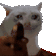 a white cat is being held by a person in a pixelated image .