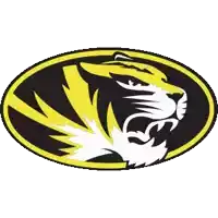 a black and yellow logo with a tiger head