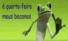 a frog is giving a thumbs up sign on a green background with the words `` quarta-feira meus bacanos '' .