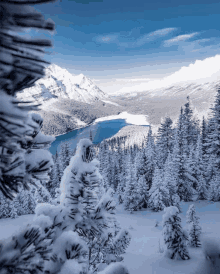 a snowy forest with mountains in the background and a lake in the middle