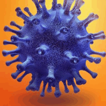 a close up of a blue virus on a orange background .