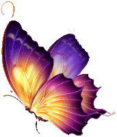 a colorful butterfly with purple and yellow wings is flying on a white background