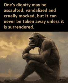 a picture of a monkey with the words one 's dignity may be assaulted