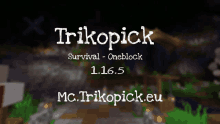 a poster for trikopick survival oneblock 1.16.5