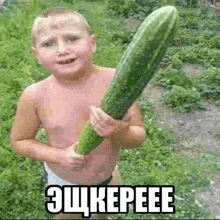 a shirtless young boy is holding a very long cucumber in his hands .