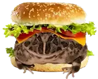 a frog sits on top of a hamburger with lettuce tomato and cheese