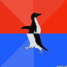 a black and white penguin on a red and blue background with memeful.com at the bottom