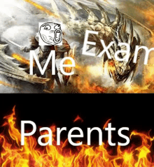 a picture of a man riding a dragon with the words `` me exam parents '' below it