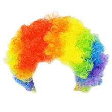 a rainbow colored clown wig with curly hair