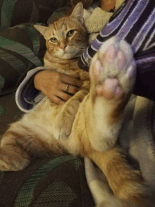 a cat laying on a couch with a pink paw