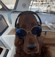 a dog wearing round sunglasses and headphones looks at the camera