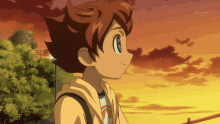 a young boy stands in front of a sunset with the words bs japan in the corner