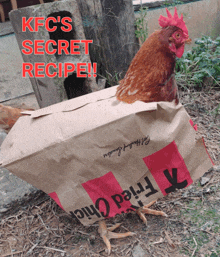 a chicken in a bag that says fried chicken on it