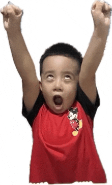 a young boy in a red shirt with mickey mouse on it is raising his arms in the air .