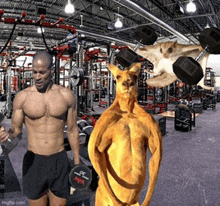 a kangaroo holding a dumbbell next to a shirtless man in a gym