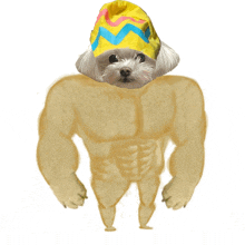 a dog with a yellow hat on its head looks like a muscle man