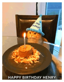 a cat wearing a birthday hat is sitting at a table with a birthday cake